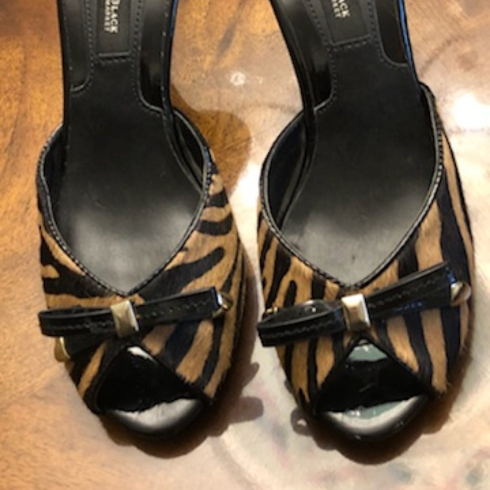 Tiger Slides by WHBM